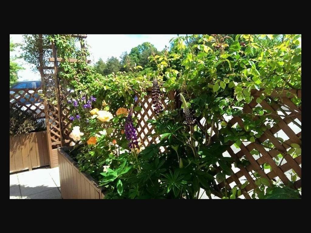 The Old Bell Bed & Breakfast Shrewsbury Luaran gambar